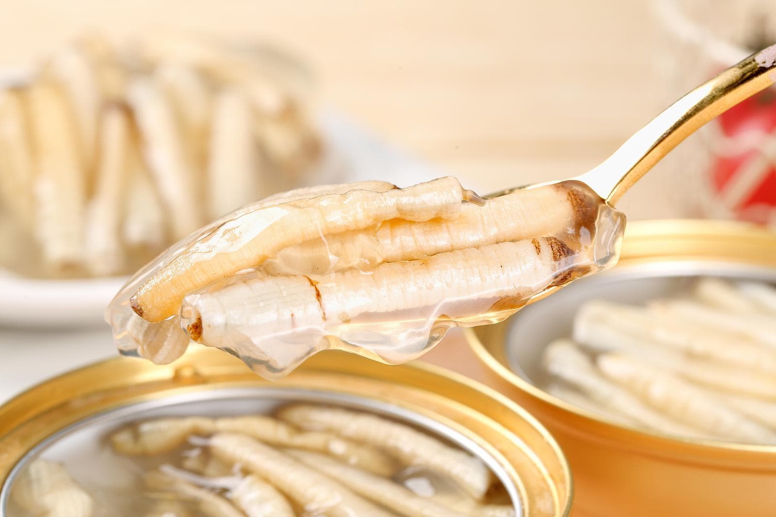 泉州美食首次拥有官方英文名，助力申创“世界美食之都”
