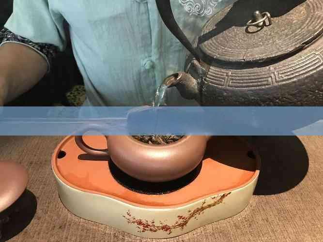 各类茶茶多酚含量