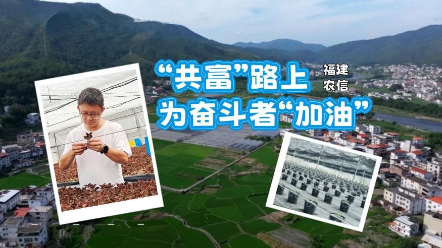福建三地试点“共富金融”，为小微企业和新农主体注入金融活水