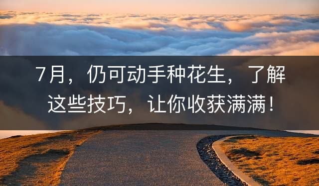 7月，仍可动手种花生，了解这些技巧，让你收获满满！