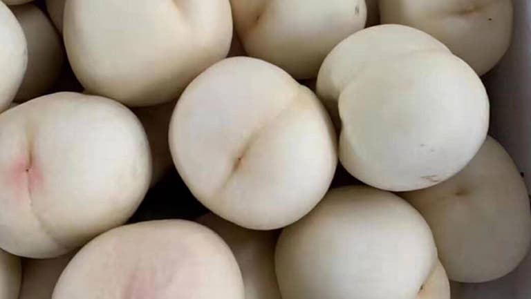 白桃的功效与作用、禁忌和食用方法