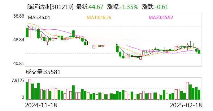 腾远钴业延期项目实地探访：业绩高增下的战略调整与行业周期博弈