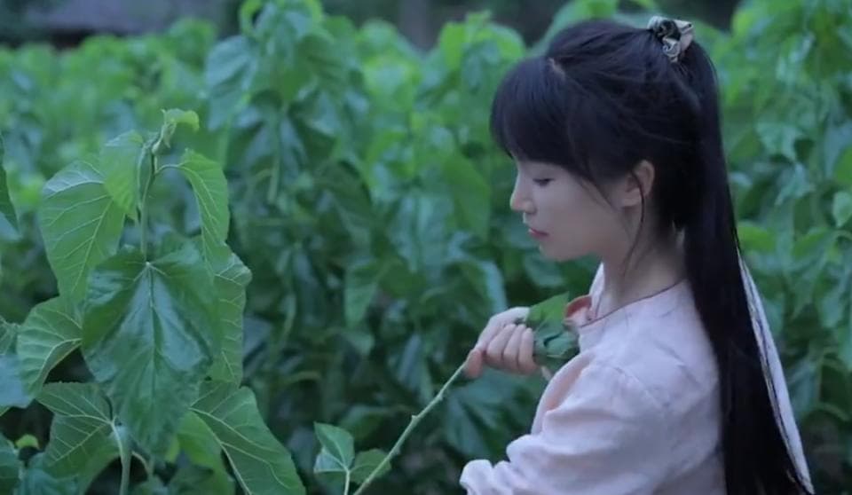 李子柒视频中的非遗之美：缫丝、植物染、蜀锦与绒花