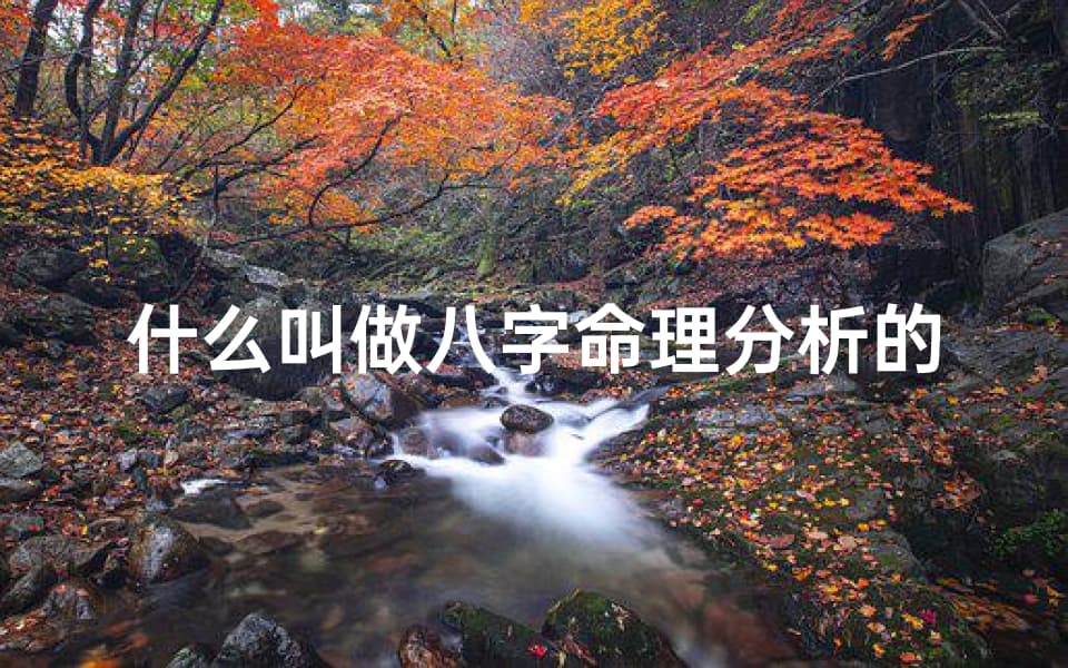 《揭秘八字命理：精准分析人生运势秘籍》：一本全面实用的八字命理指南