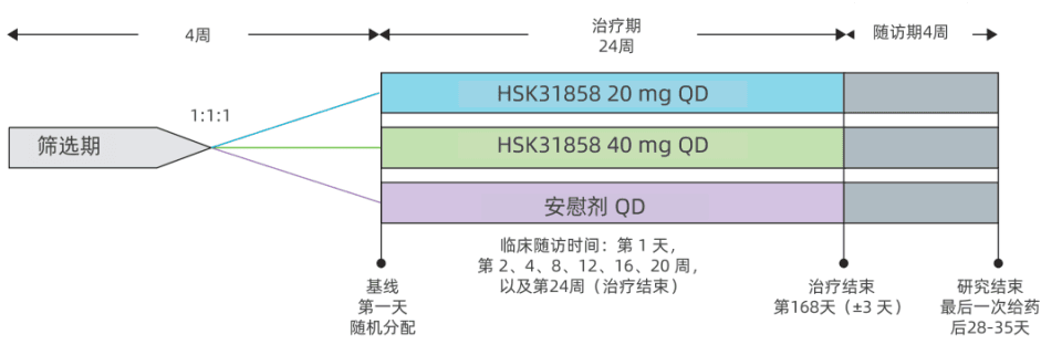 中国“智”药新突破：DPP-1抑制剂HSK31858显著降低支扩症急性加重风险