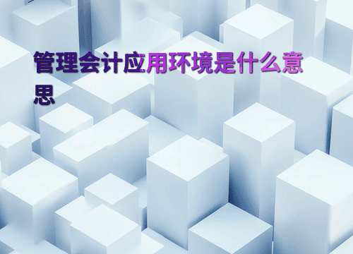 管理会计应用环境是什么意思