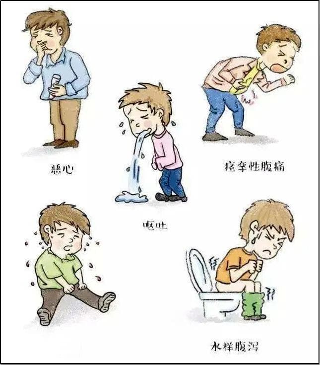 食源性疾病知识科普：定义、症状、诊断与预防全解析