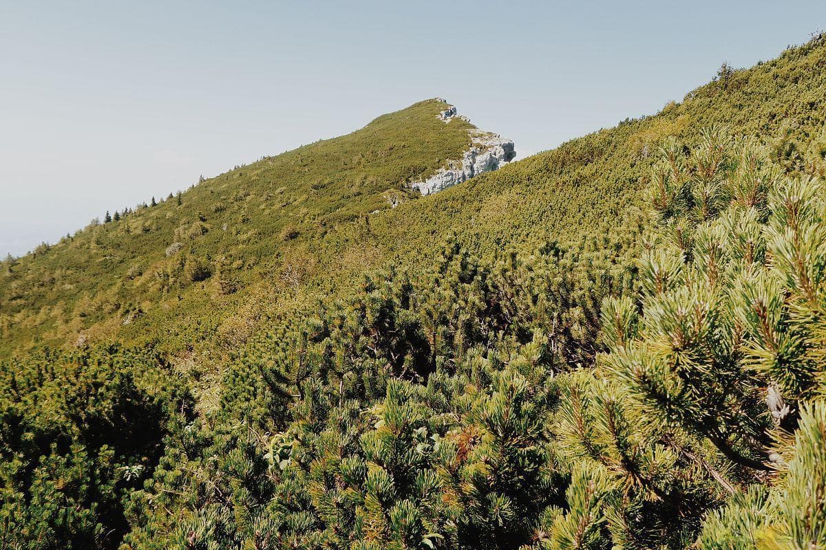 广西巴马旅游攻略：探秘壮美巴马，带你领略广西绝美景色