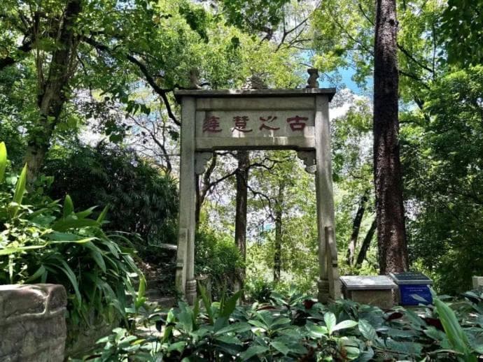 《全粤文》影印出版：岭南文学千年脉络的探索之匙
