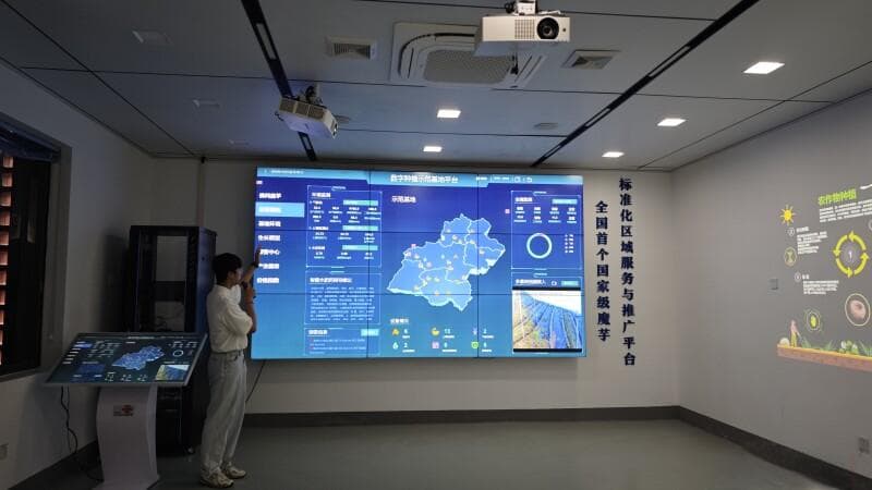 万千气象看广东｜清远：培育壮大特色产业集群