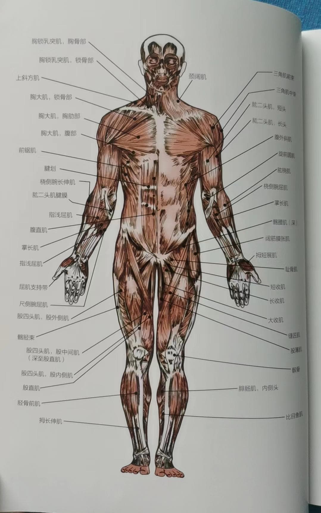 每个人都用得上的精准拉伸练习！