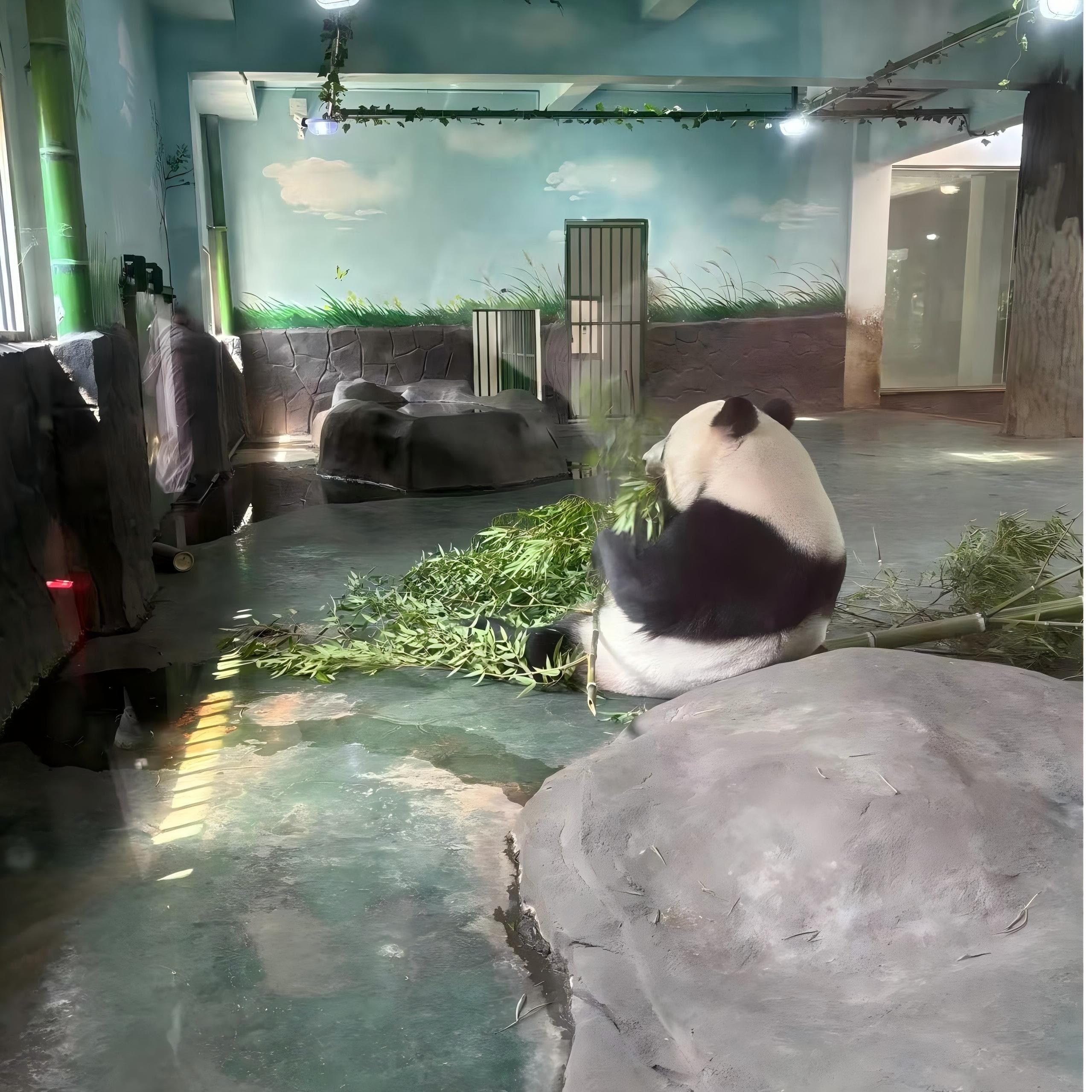 RGD多肽：一种具有特殊生物活性的三肽序列