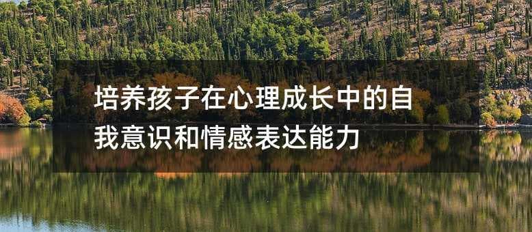 培养孩子在心理成长中的自我意识和情感表达能力