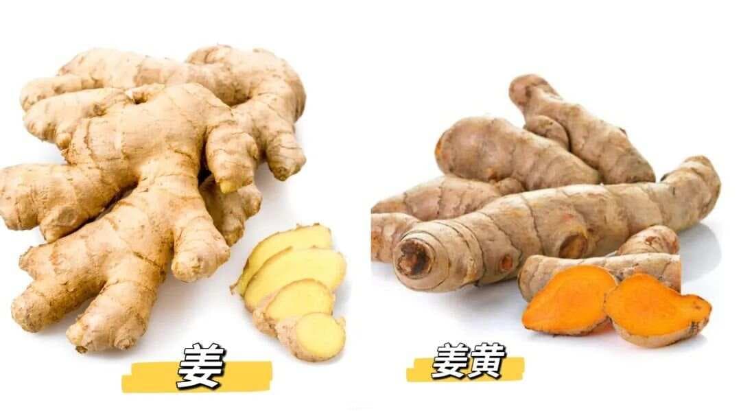 “抗炎明星”姜黄和姜有啥区别？吃它竟然有这些好处！（附食谱）