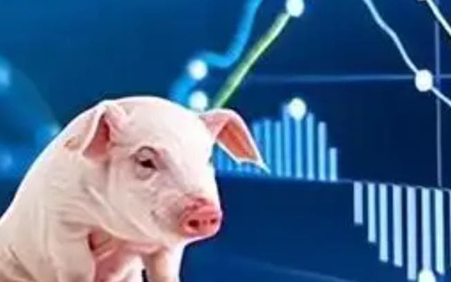 影响美国生猪期货价格的因素有哪些？