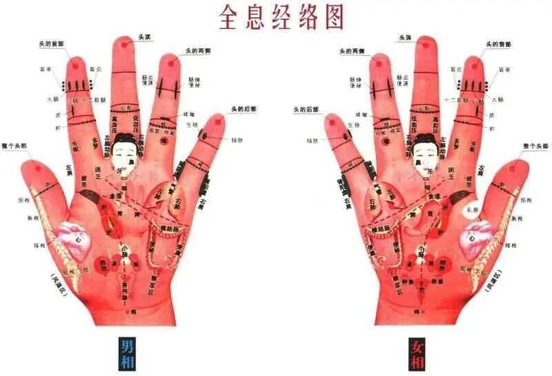 学点中医知识：轻松学手诊（手纹、手型、色泽、指甲）配图讲解直断病症。