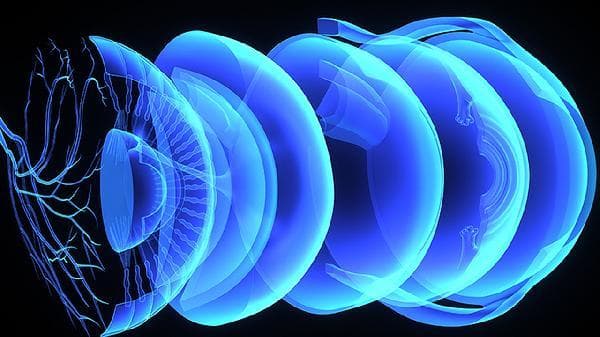 支气管扩张剂：种类、作用机制及使用注意事项