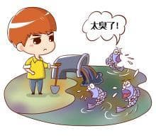 环保科普：农村生活污水治理全攻略