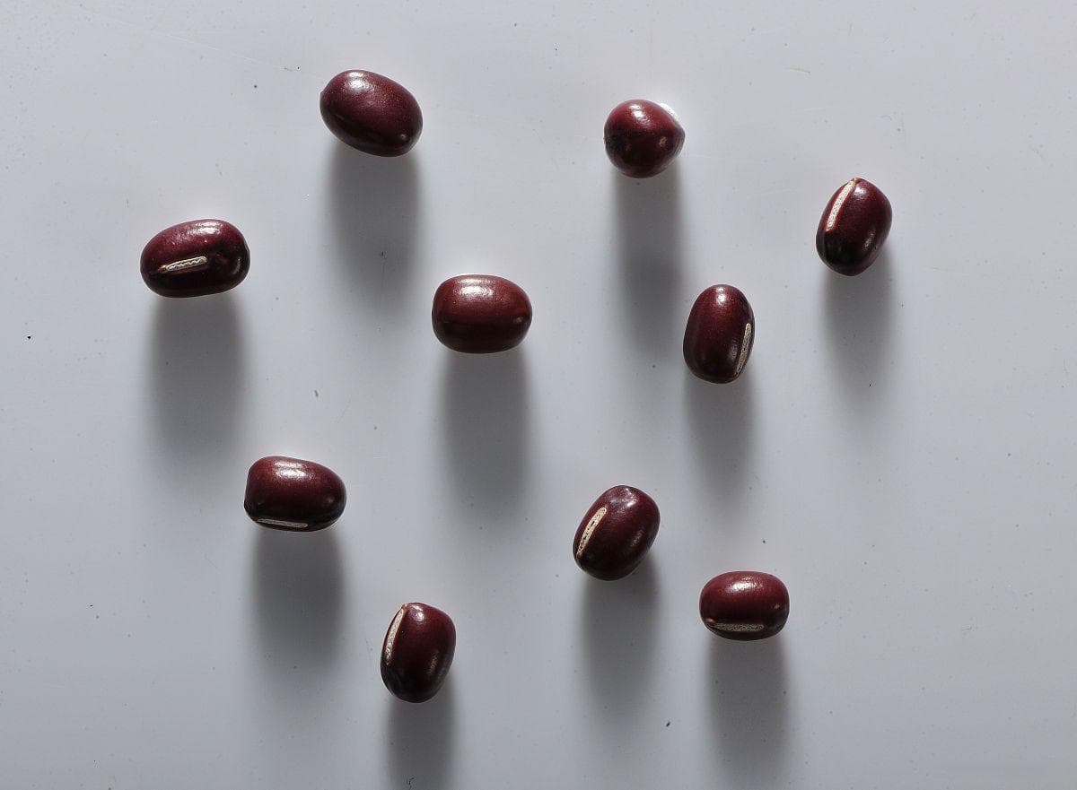 这些食材煮错了竟然有毒？——厨房安全指南