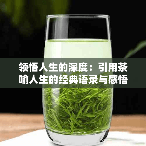 领悟人生的深度：引用茶喻人生的经典语录与感悟