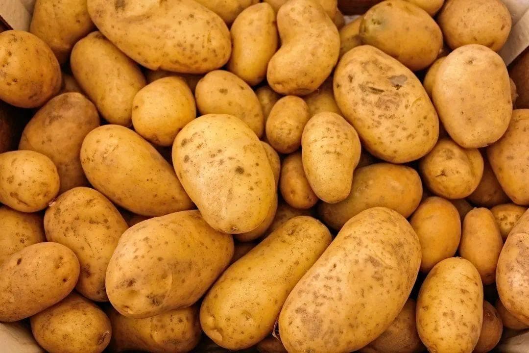 土豆炖牛肉：冬季养生的黄金搭档