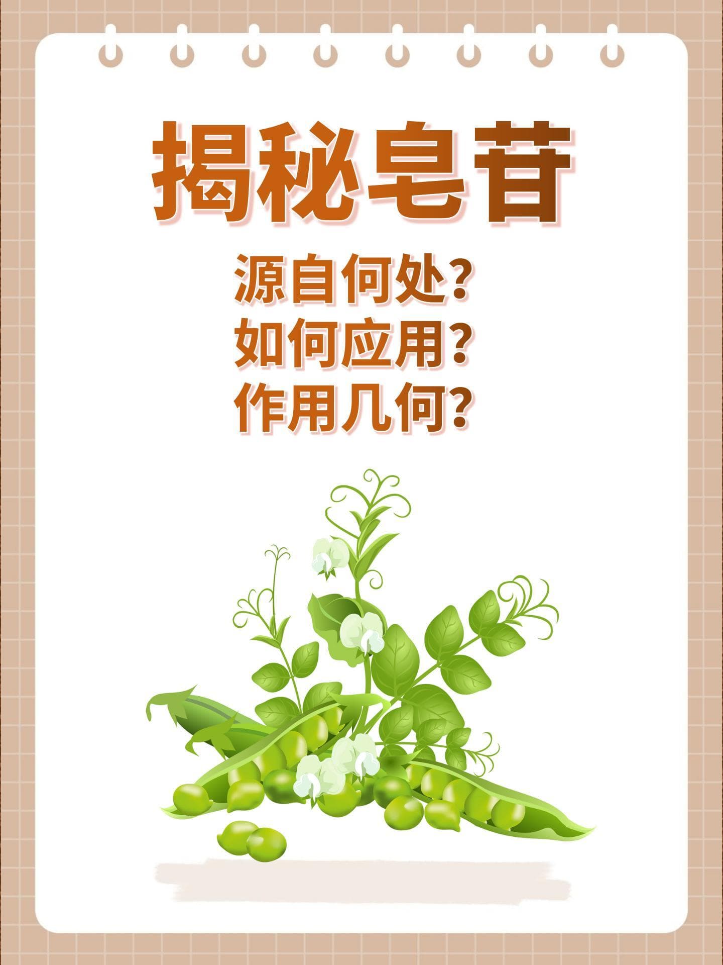 揭秘皂苷：来源、功效与使用指南