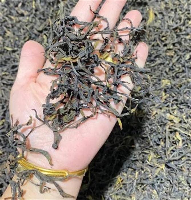 鸭屎香是什么茶？鸭屎香该怎么泡？茶叶老板娘手把手教你