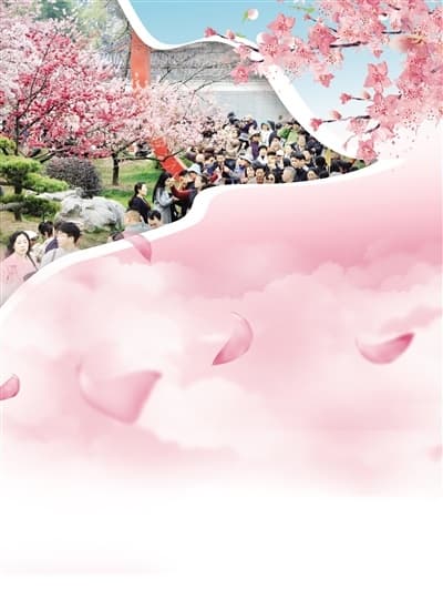 热度全国第一！东湖樱花引爆春季赏花游
