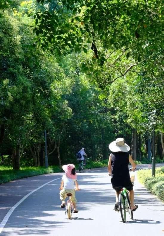 上海四条春日宝藏骑行路线，有没有你感兴趣的？