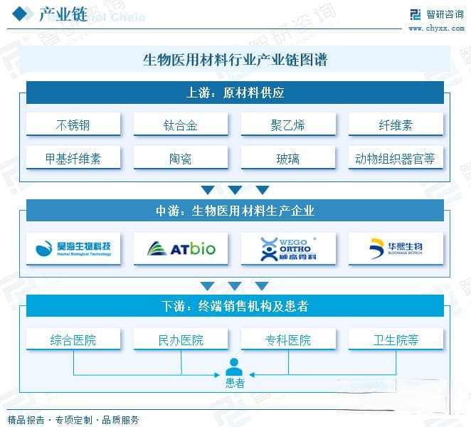 2025年中国生物医用材料行业深度分析：市场规模超6600亿，国产替代加速推进