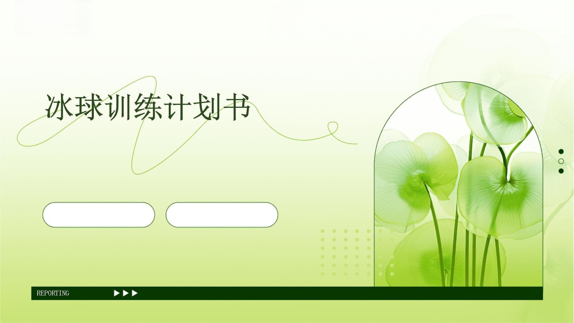 冰球训练计划书