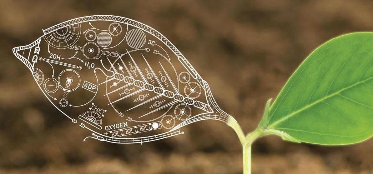 日常生活中的10个生物学例子