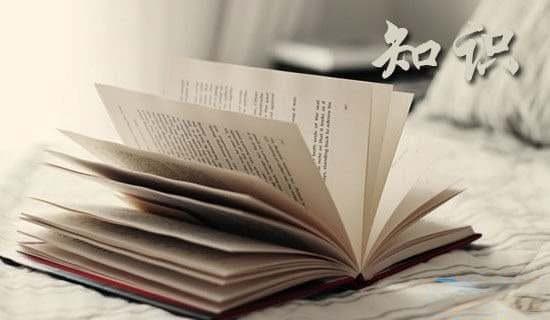 拳击运动专业术语详解：从防守到取胜方式全解析