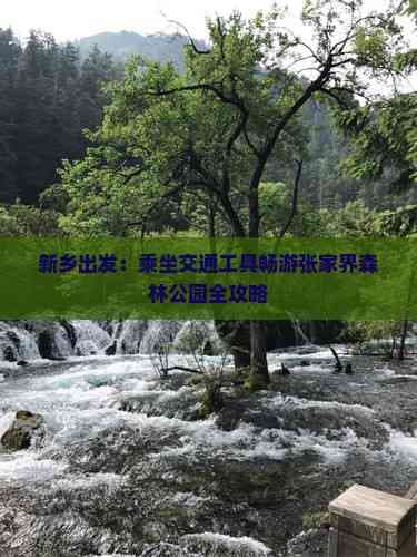 新乡出发：乘坐交通工具畅游张家界森林公园全攻略