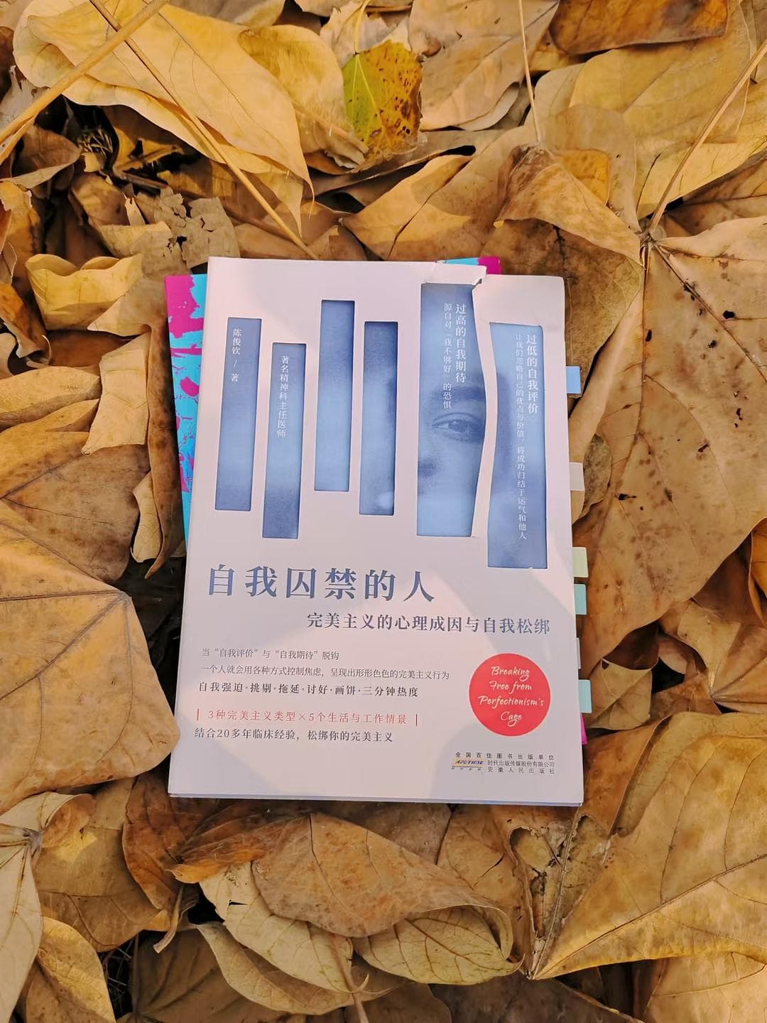 原来你的压力、焦虑，来自于完美主义