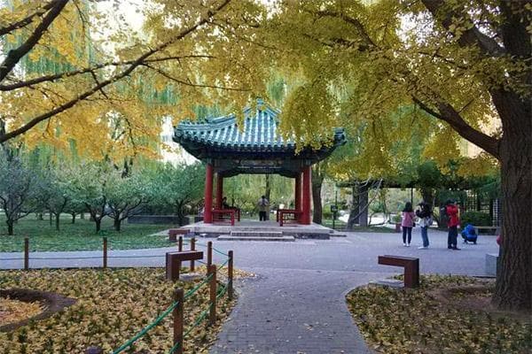 月坛公园：北京的皇家祭坛与古典园林