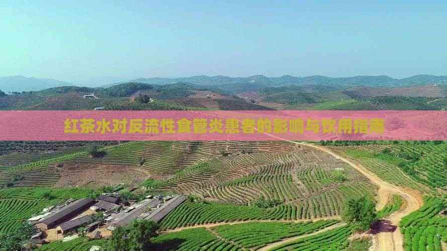 红茶水对反流性食管炎患者的影响与饮用指南