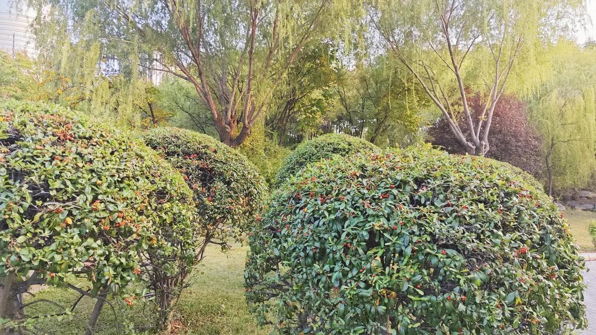 如何理解庄子的“物物而不物于物，念念而不念于念”？