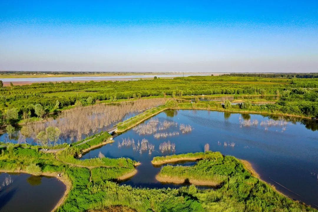 林荫花海，长河落日，郑州最北端的绝美风景