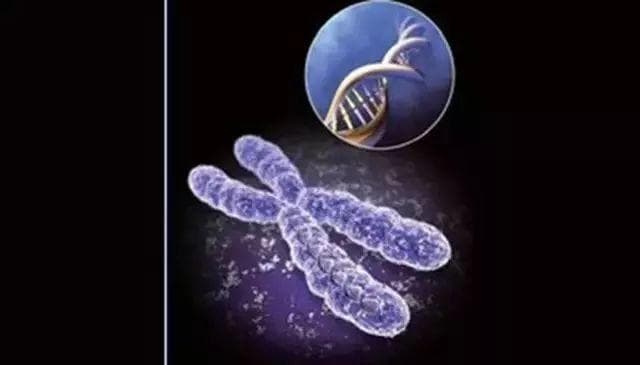 Science发布“全世界最前沿的125个科学问题”