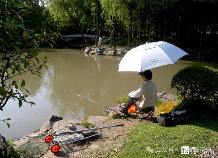 钓鱼虽好，身体更重要！避免这三大健康隐患，让钓鱼更舒心！