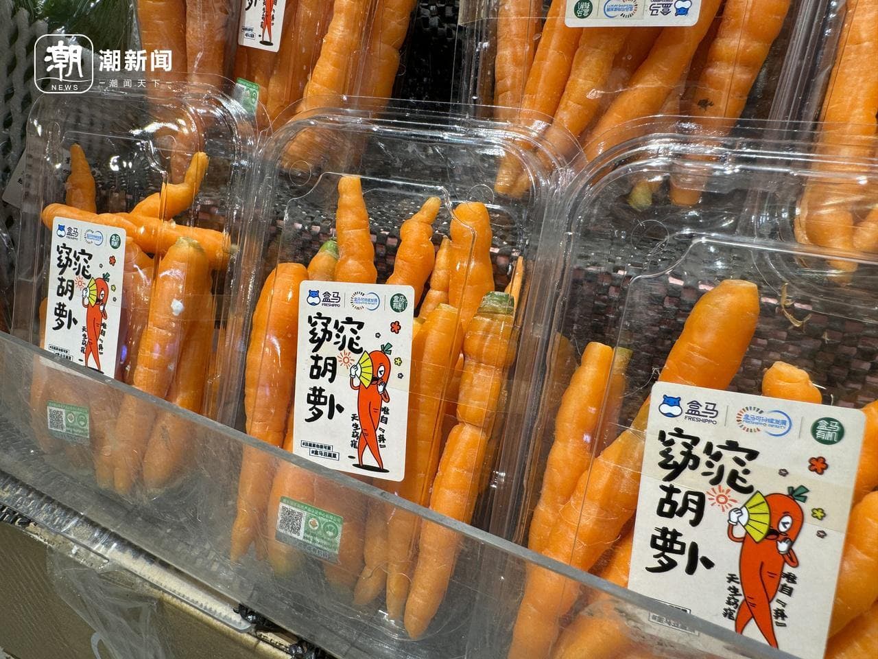 颜值即正义的当下，“丑蔬菜”为何受宠