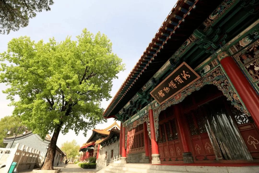 走进汾酒博物馆，见证6000年酿酒文化的传承与重塑