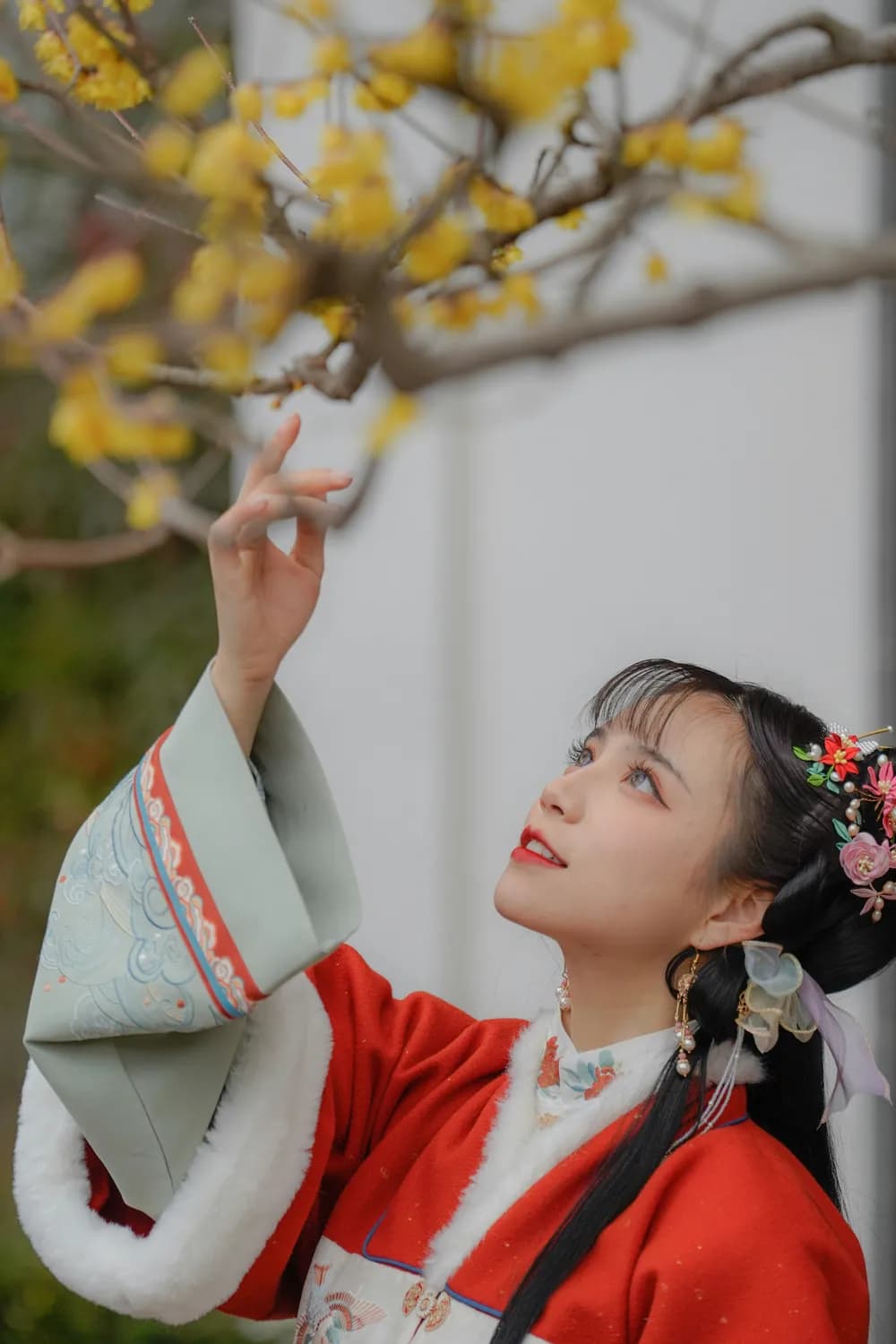 贾府中的嫡庶之分：从迎春与贾琏的关系看封建家族制度