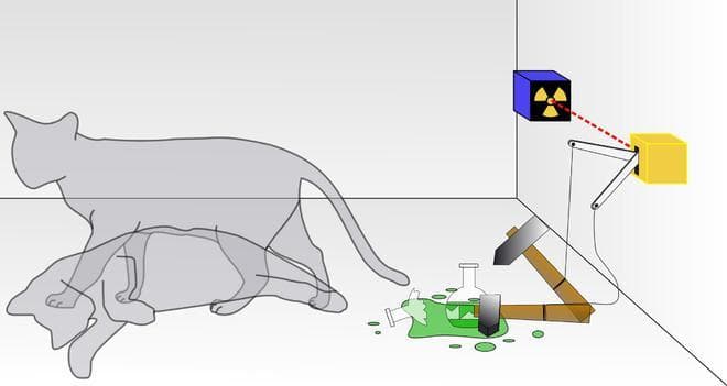 薛定谔的猫：一个思想实验的科学启示
