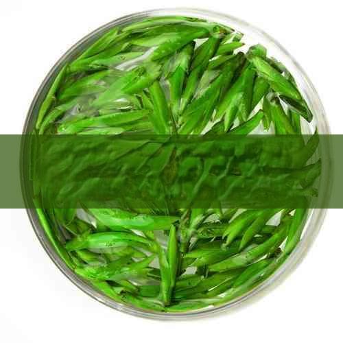 不同茶叶的成分与营养价值