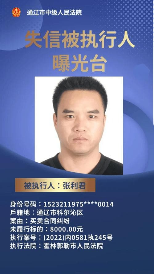 失信被执行人后果：信用崩塌与法律严惩的深度解析