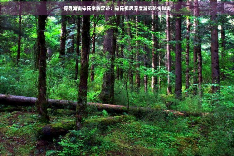 探寻海南宋氏家族足迹：宋氏祖居深度游览路线指南