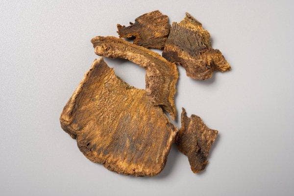 桦树茸对肿瘤有用吗？科学研究这样说