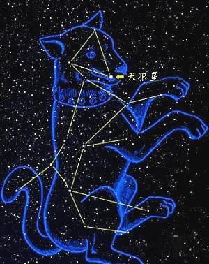 夜空中最明亮的星——天狼星探秘